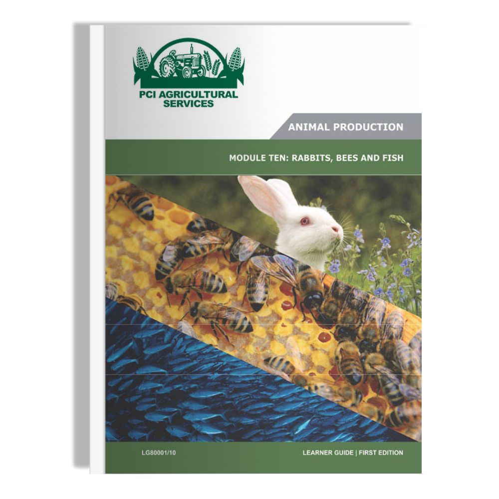 Fish, Bees, Rabbits | Correspondence